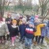 Dokarmianie ptaków